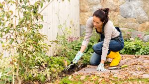 Cómo cultivar un jardín de ensueño fácilmente
