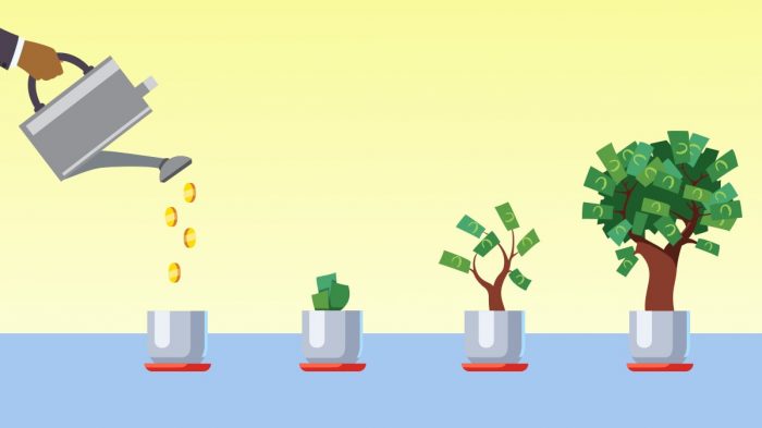 Cómo invertir inteligentemente para hacer crecer tu dinero